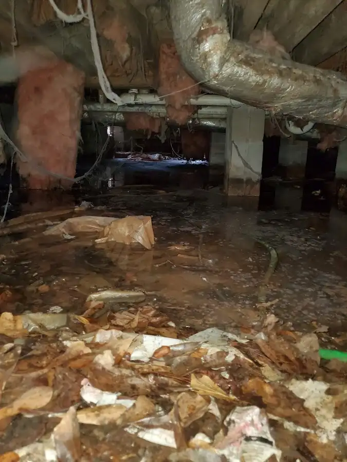 Crawl space flood assessment for Leak Detection & Repair in Portland